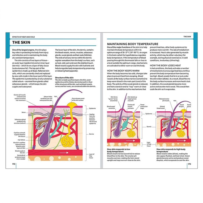 First Aid Manual (11th Edition)