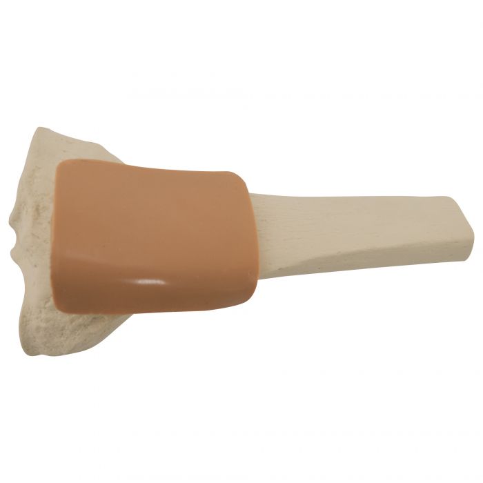 EZ-IO Training Bone (Adult Tibia)