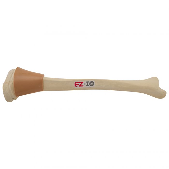 EZ-IO Training Bone (Child Tibia)