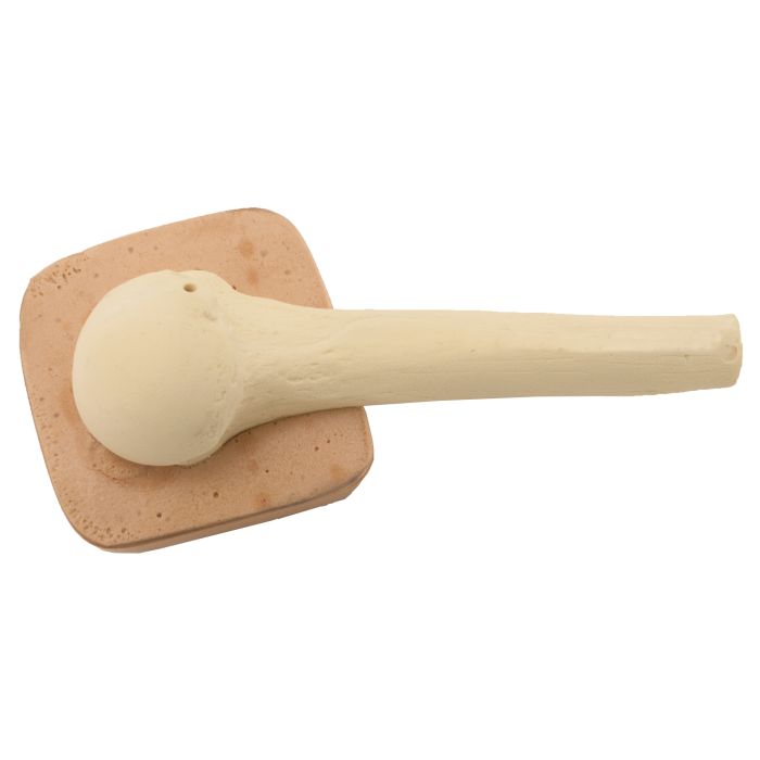 EZ-IO Training Bone (Adult Humerus - with Skin Patch)