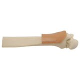 EZ-IO Training Bone (Adult Distal Tibia - with Skin Patch)