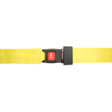 Loop End Restraint Strap with Seat Belt Buckle (Set of 4)