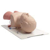 Laerdal Airway Management Trainer (Adult)