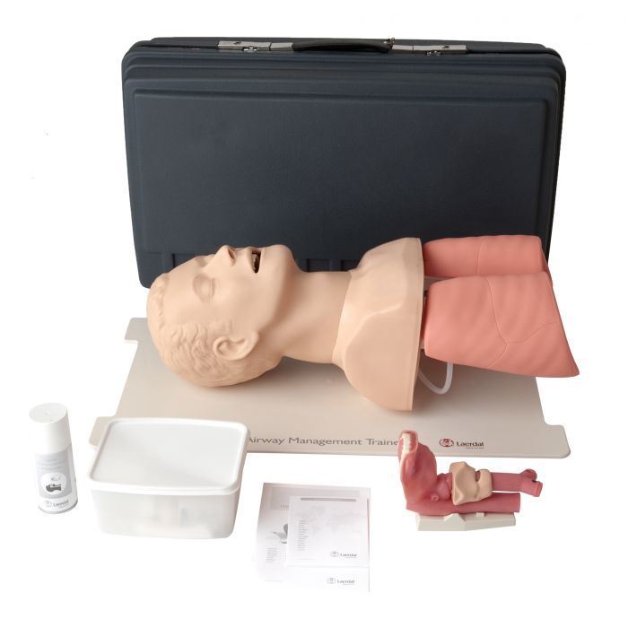 Laerdal Airway Management Trainer (Adult)