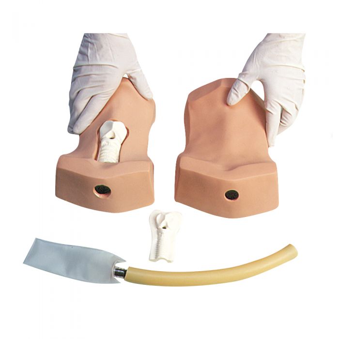 Simulaids Cricothyrotomy Trainer