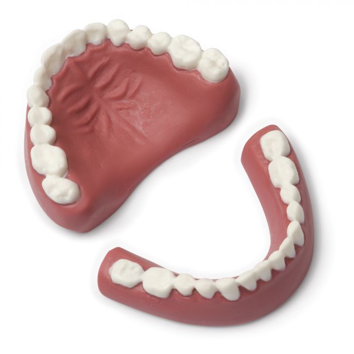 Laerdal Crash Kelly Teeth Set