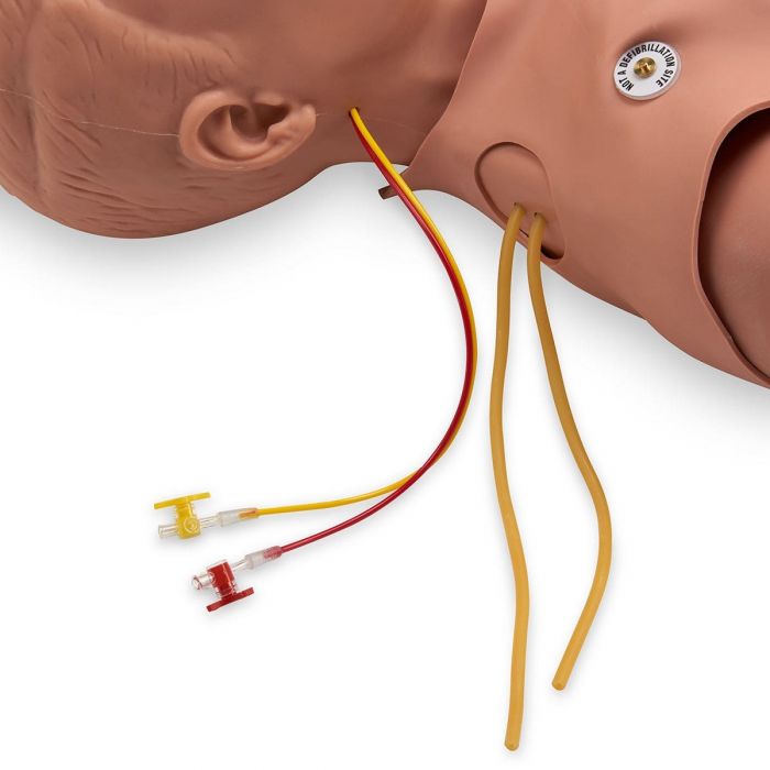 Simulaids STAT Manikin (with New Deluxe Airway Management Head)