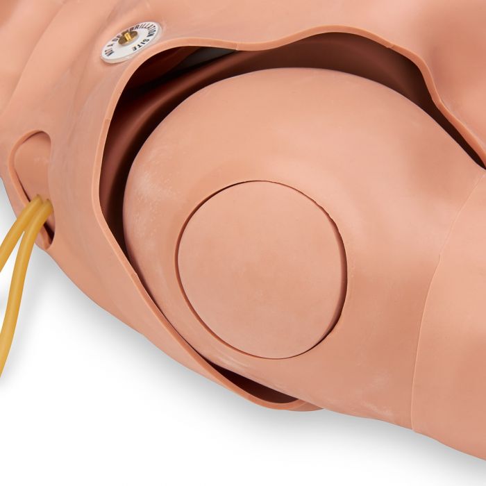 Simulaids STAT Manikin (with New Deluxe Airway Management Head)