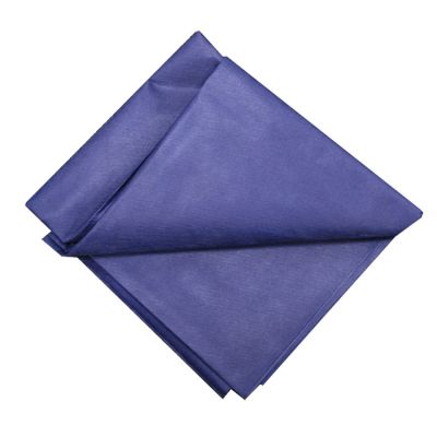 Orvecare Disposable WR Dignity Sheet - Dark Blue (500/pk)
